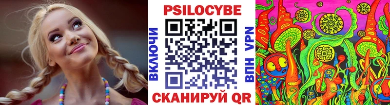 Галлюциногенные грибы Psilocybe  где купить   Сланцы 